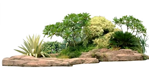 Testimonial Stone Image